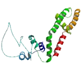 Potassium Voltage Gated Channel, Delayed Rectifier Subfamily S, Member 3 (KCNS3)