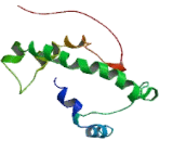 Potassium Voltage Gated Channel Isk Related Family, Member 1 (KCNE1)