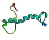 Potassium Voltage Gated Channel Isk Related Family, Member 2 (KCNE2)