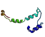 Potassium Voltage Gated Channel Isk Related Family, Member 3 (KCNE3)