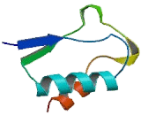 Potassium Voltage Gated Channel Isk Related Family, Member 4 (KCNE4)