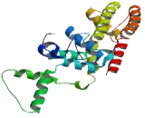 Potassium Voltage Gated Channel KQT Like Subfamily, Member 2 (KCNQ2)