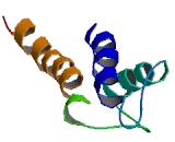 Potassium Voltage Gated Channel KQT Like Subfamily, Member 4 (KCNQ4)