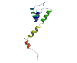 Potassium Voltage Gated Channel KQT Like Subfamily, Member 5 (KCNQ5)