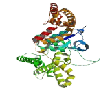 Potassium Voltage Gated Channel Shab Related Subfamily, Member 1 (KCNB1)