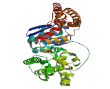 Potassium Voltage Gated Channel Shab Related Subfamily, Member 2 (KCNB2)