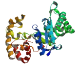 Potassium Voltage Gated Channel Shaker Related Subfamily Beta 1 (KCNAb1)