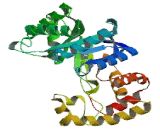 Potassium Voltage Gated Channel Shaker Related Subfamily Beta 2 (KCNAb2)