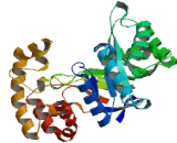 Potassium Voltage Gated Channel Shaker Related Subfamily Beta 3 (KCNAb3)