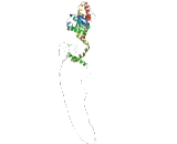 Potassium Voltage Gated Channel Shaker Related Subfamily, Member 10 (KCNA10)