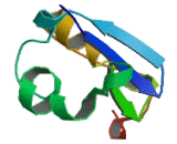 Potassium Voltage Gated Channel Shaker Related Subfamily, Member 5 (KCNA5)