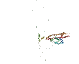 Potassium Voltage Gated Channel Shaker Related Subfamily, Member 6 (KCNA6)