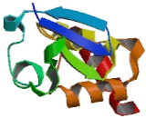 Potassium Voltage Gated Channel Shal Related Subfamily, Member 2 (KCND2)