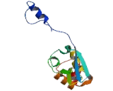 Potassium Voltage Gated Channel Shal Related Subfamily, Member 3 (KCND3)