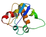 Potassium Voltage Gated Channel Shaw Related Subfamily, Member 1 (KCNC1)