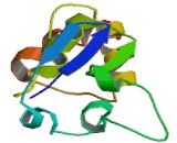 Potassium Voltage Gated Channel Shaw Related Subfamily, Member 3 (KCNC3)