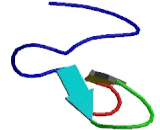 Potassium Voltage Gated Channel Shaw Related Subfamily, Member 4 (KCNC4)