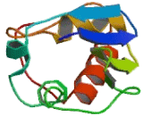 Potassium Voltage Gated Channel Subfamily G, Member 2 (KCNG2)