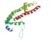 Potassium Voltage Gated Channel Subfamily G, Member 3 (KCNG3)