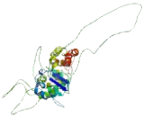 Potassium Voltage Gated Channel Subfamily G, Member 4 (KCNG4)