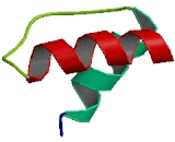 Potassium Voltage Gated Channel Subfamily H, Member 1 (KCNH1)