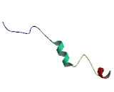 Potassium Voltage Gated Channel Subfamily H, Member 2 (KCNH2)