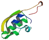 Potassium Voltage Gated Channel Subfamily H, Member 3 (KCNH3)