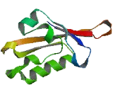 Potassium Voltage Gated Channel Subfamily H, Member 4 (KCNH4)