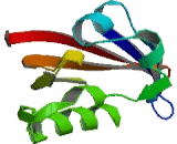 Potassium Voltage Gated Channel Subfamily H, Member 7 (KCNH7)