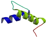 Potassium Voltage Gated Channel Subfamily H, Member 8 (KCNH8)