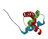 Pre-B-Cell Leukemia Homeobox Protein 1 (PBX1)