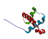 Pre-B-Cell Leukemia Homeobox Protein 2 (PBX2)