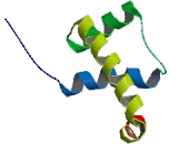 Pre-B-Cell Leukemia Homeobox Protein 3 (PBX3)