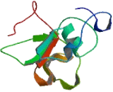 Pre-B-cell Leukemia Homeobox Interacting Protein 1 (PBXIP1)