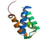 Pre-mRNA Processing Factor 3 (PRPF3)