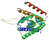 Pre-mRNA Processing Factor 31 (PRPF31)