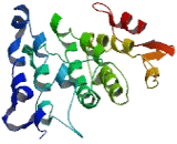 Pre-mRNA Processing Factor 38A (PRPF38A)