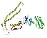 Pre-mRNA Processing Factor 38B (PRPF38B)