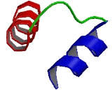 Pre-mRNA Processing Factor 4 (PRPF4)