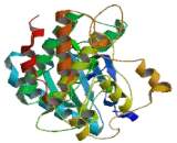 Pre-mRNA Processing Factor 4B (PRPF4B)