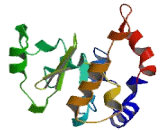 Pre-mRNA Processing Factor 6 (PRPF6)