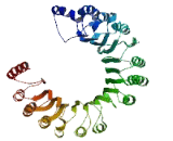 Preferentially Expressed Antigen Of Melanoma Family Member 1 (PRAMEF1)