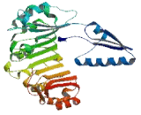 Preferentially Expressed Antigen Of Melanoma Family Member 10 (PRAMEF10)