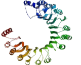 Preferentially Expressed Antigen Of Melanoma Family Member 13 (PRAMEF13)