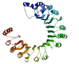 Preferentially Expressed Antigen Of Melanoma Family Member 14 (PRAMEF14)