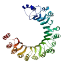 Preferentially Expressed Antigen Of Melanoma Family Member 15 (PRAMEF15)