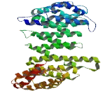 Preferentially Expressed Antigen Of Melanoma Family Member 16 (PRAMEF16)