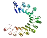 Preferentially Expressed Antigen Of Melanoma Family Member 19 (PRAMEF19)