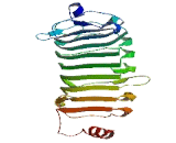 Preferentially Expressed Antigen Of Melanoma Family Member 20 (PRAMEF20)