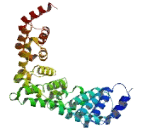 Preferentially Expressed Antigen Of Melanoma Family Member 22 (PRAMEF22)